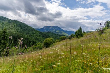 Şiddetli bulutların altında, geniş bir kayalık tepe manzarası ön planda mor yabani devedikeni olan yemyeşil bir çayır boyunca görünüyordu..
