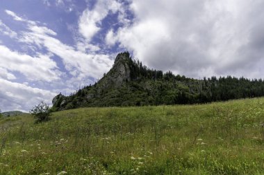 Parlak bulutlu bir gökyüzünün altında, vahşi bitki örtüsü ve ormanla kaplı yeşil bir yamaçtan keskin bir kaya çıkıntısı yükselir..