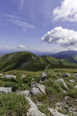Mavi bir gökyüzünün altındaki yemyeşil bir dağ sırtı boyunca uzanan taştan bir patika. Spor, aktif yaşam tarzı ve turizm için mükemmel..