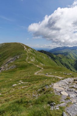 Mavi bir gökyüzünün altındaki yemyeşil bir dağ sırtı boyunca uzanan taştan bir patika. Spor, aktif yaşam tarzı ve turizm için mükemmel..