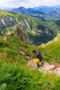 Dişi yürüyüşçü, dik bir dağ yamacında, ön planda kır çiçekleriyle dar bir patikada geziniyor. Derin vadilerin ve uzak tepelerin nefes kesici manzarası.