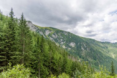 Yazın yoğun ve bulutlu bir gökyüzünün altında dramatik kireçtaşı uçurumlarına uzanan sık ve yeşil bir ormanı barındıran engin bir manzara..