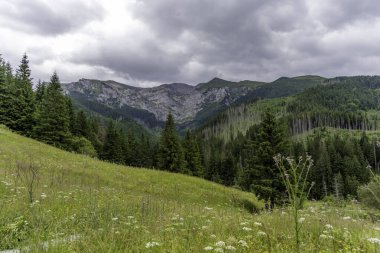 Dik yamaçlara, sık ladin ormanlarına ve Tatras 'ta kasvetli bir gökyüzünün altındaki alp çayırlarına ev sahipliği yapan engin dağ sıraları..