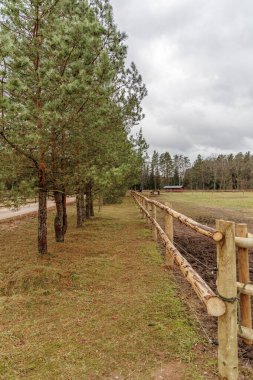 Çam ağaçları, toprak yol ve bulutlu bir gökyüzünün altındaki yeşil çayır ile birlikte sessiz bir kırsal alanda ahşap bir çiftlik çitinin geniş bir manzarası..