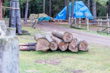 Ahşap bir ahır ve çitlerin yanındaki çimlerin üzerinde taze kesilmiş çam kütükleri yığını duruyor. Arka plan saman ve mavi muşambaları olan bir çiftlik ortamını gösteriyor..