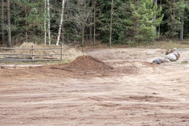 Tahta bir çit ve ormanın yakınında toprak yığını olan temiz bir arazi. Arazi geliştirme, bahçıvanlık, emlak geliştirme ve inşaat kavramı.