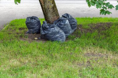 Atık yönetimi ve şehir temizlik hizmetlerini temsil eden, caddenin kenarındaki yeşil bir çimenlikteki bir ağacın altına yerleştirilmiş bir sürü siyah plastik çöp torbası..