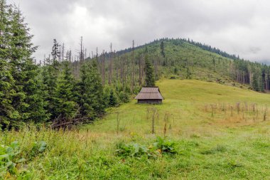 Arka planda dik bir orman tepe ile yeşil bir çayırda duran küçük kırsal ahşap çoban kulübesi bulutlu bir gökyüzünün altında.