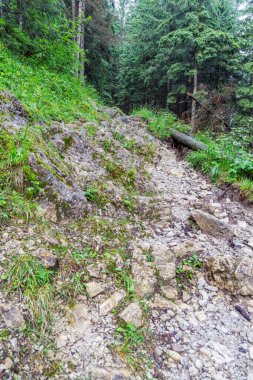 Taş ve kayalarla dolu dar ve zorlu bir dağ yolu. Macera kavramı, aktif yaşam tarzı, yürüyüş, yürüyüş ve engelleri aşma.