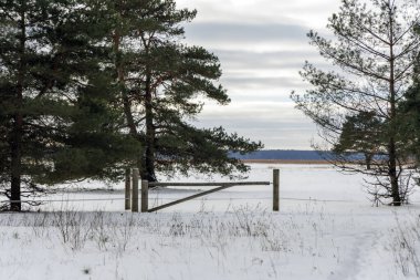 Uçsuz bucaksız, karla kaplı çayıra bakan bir çam ağacının kenarında duran basit bir kereste kapısı. Bulutlu gri gökyüzünün altında kırsal kış manzarası.
