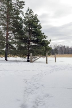 Kardaki derin ayak izleri kırsal bir ahşap kapıya ve ormanın kenarındaki çitlere doğru gidiyor. Kırsal yaşam ve kışlık arazi sınırlarının huzurlu bir manzarası..
