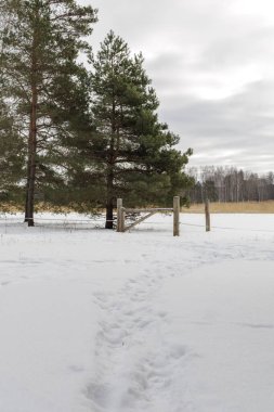 Kardaki derin ayak izleri kırsal bir ahşap kapıya ve ormanın kenarındaki çitlere doğru gidiyor. Kırsal yaşam ve kışlık arazi sınırlarının huzurlu bir manzarası..