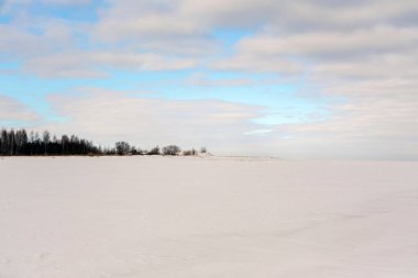 Geniş, minimalist bir manzara. Karla kaplı geniş bir alan. Yumuşak mavi bir gökyüzünün altındaki uzak bir ağaç hattına çıkıyor. Mevsimlik arka planlar için ideal.