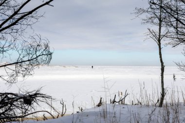 The sun illuminates a vast frozen plain with a single person in the distance, viewed through a frame of winter trees and reeds.