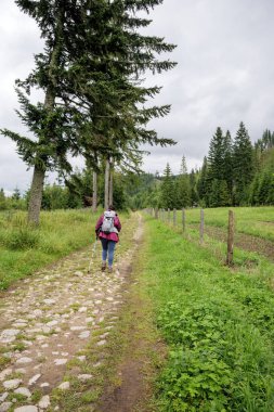 Sırt çantalı bir kadın yürüyüşçü ve kırsal bir dağ manzarasında taştan bir patika boyunca yürüyen yürüyüş direkleri. Aktif yaşam tarzı, turizm ve açık hava macerası.