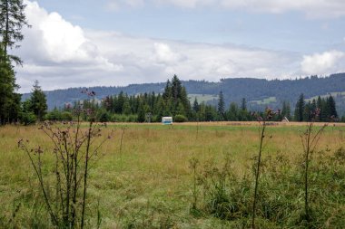 Önünde vahşi devedikenleri olan geniş bir dağ çayırı ve orman kenarına park edilmiş küçük bir kervan. Kamp, yalnızlık ve kırsal kaçış kavramı..