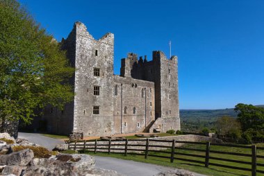 Bolton Şatosu - İngiltere: Uzun kuleleri ve dar pencereleri olan büyük tarihi taş kale açık mavi bir gökyüzünün altında duruyor.