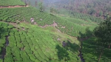 56 Paramthumpara sabah
