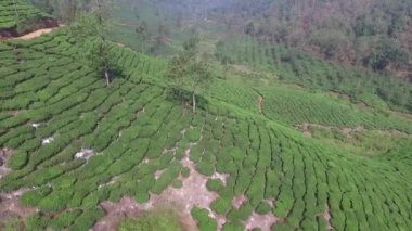 57 Paramthumpara sabah