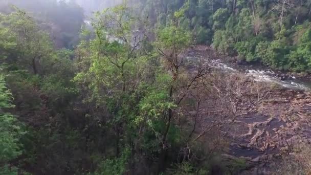 在印度西南海岸的 Athirapally 瀑布 — 图库视频影像