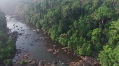 Hindistan Güney-Batı Sahili Athirapally şelaleler