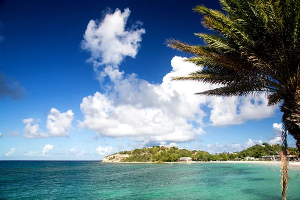 Antigua and Barbuda — Stock Photo, Image