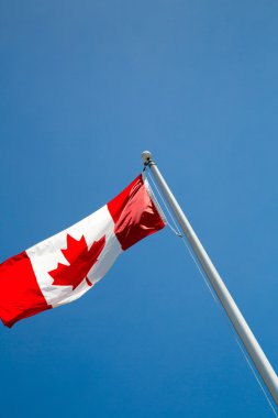 Kanada - akçaağaç yaprağı