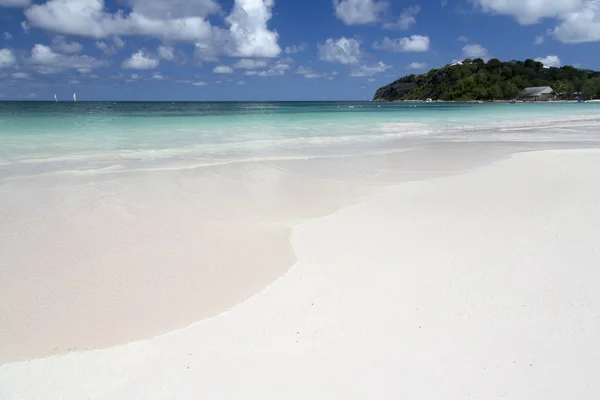 Antigua - Long Bay Beach — Fotografia de Stock