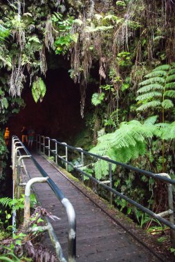 ABD - Hawaii - büyük ada - Hawaii yanardağlar Milli Parkı