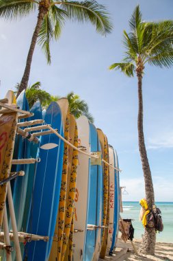 ABD - Hawaii - Oahu - Honolulu ve Waikiki
