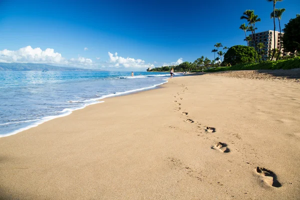 ABD - Hawaii - Maui - Kaanapali Beach