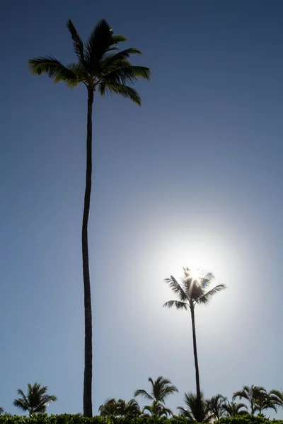 USA - Hawaii - Maui - Kaanapali Beach — Stockfoto