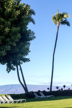 ABD - Hawaii - Maui - Kaanapali Beach