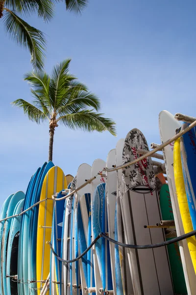 ABD - Hawaii - Oahu - Honolulu ve Waikiki