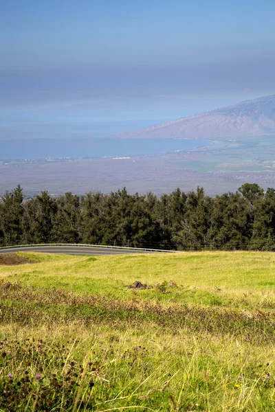 USA - Hawaii - Maui - Haleakala Nemzeti Park — Stock Fotó