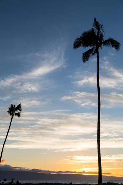 USA - Hawaii - Maui - Kaanapali Beach — Stockfoto