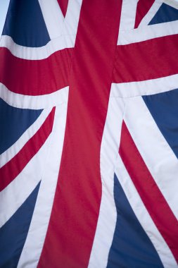 Ulusal Avrupa bayrak sallayarak