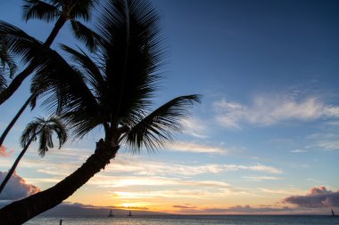 ABD - Hawaii - Maui - Kaanapali Beach