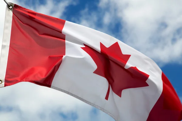 stock image Canada - The Maple Leaf