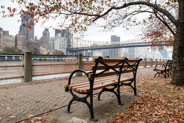 New York - Queensboro Köprüsü ve Roosevelt Adası