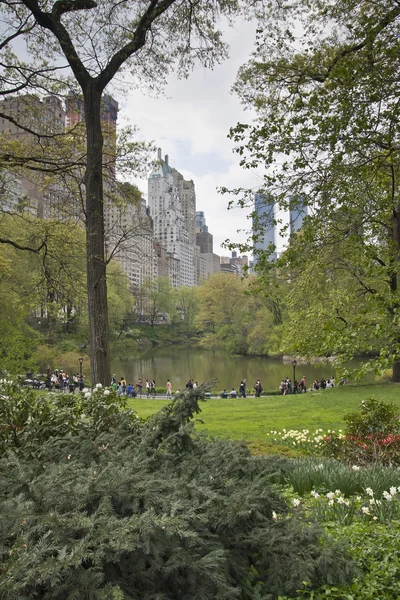 New York - Central Park — Stock Photo, Image