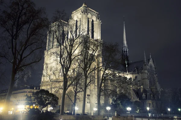 Francia - París - Notre Dame de Paris — Foto de Stock