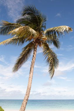 Antigua ve Barbuda