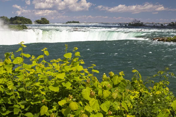 Kanada - Ontario - Niagara Falls — Zdjęcie stockowe