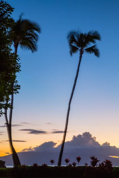 USA - Hawaii - Maui - Kaanapali Beach — Stock Photo, Image