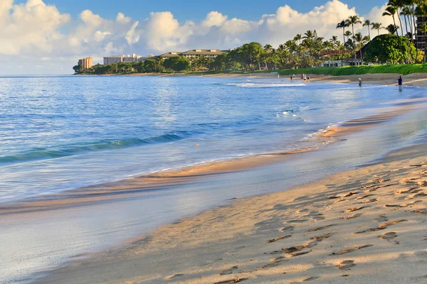 США - Гавайи - Мауи - Kaanapali Beach — стоковое фото