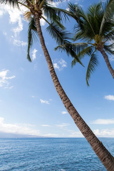 USA - Hawaii - Maui — Stockfoto