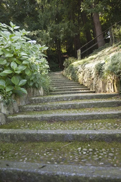 Itálie - Stresa a jezero Maggiore — Stock fotografie