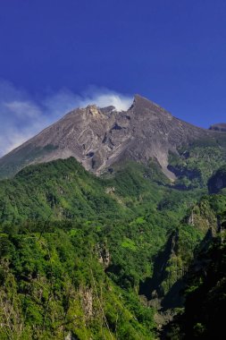 A close-up view of Mount Merapi from a distance with trees in the foreground. The panoramic beauty of Mount Merapi on a clear, midday day is clearly visible from a distance.