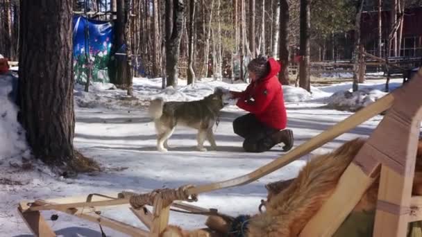 Jeune femme dans une veste rouge caressant chien huski — Video